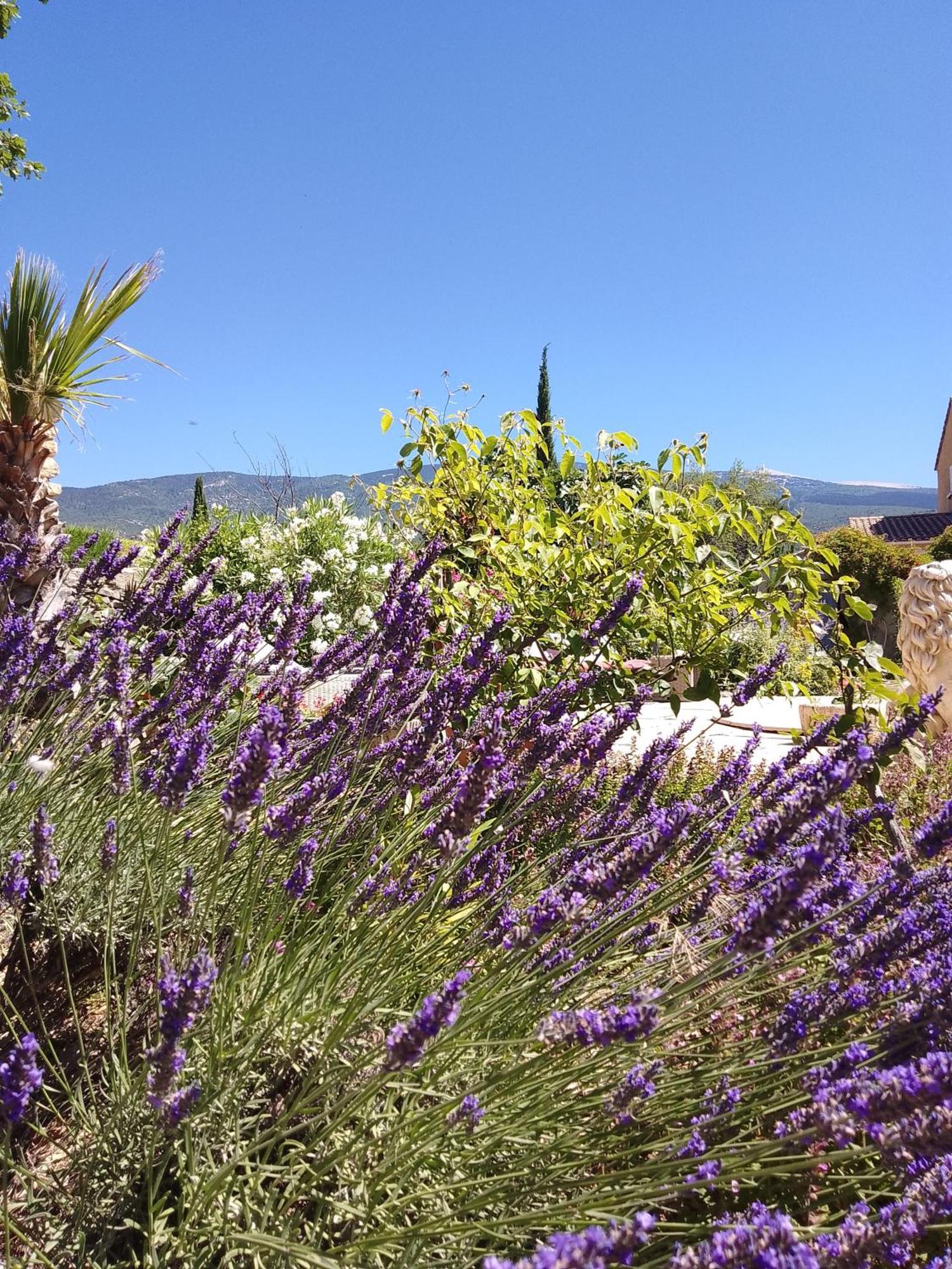 Les Gites Du Mont Ventoux Bédoin Eksteriør bilde